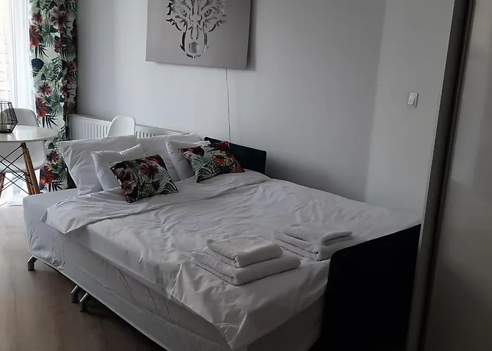 Wilczy Przy Malcie, Self Check-in, Free Parking *